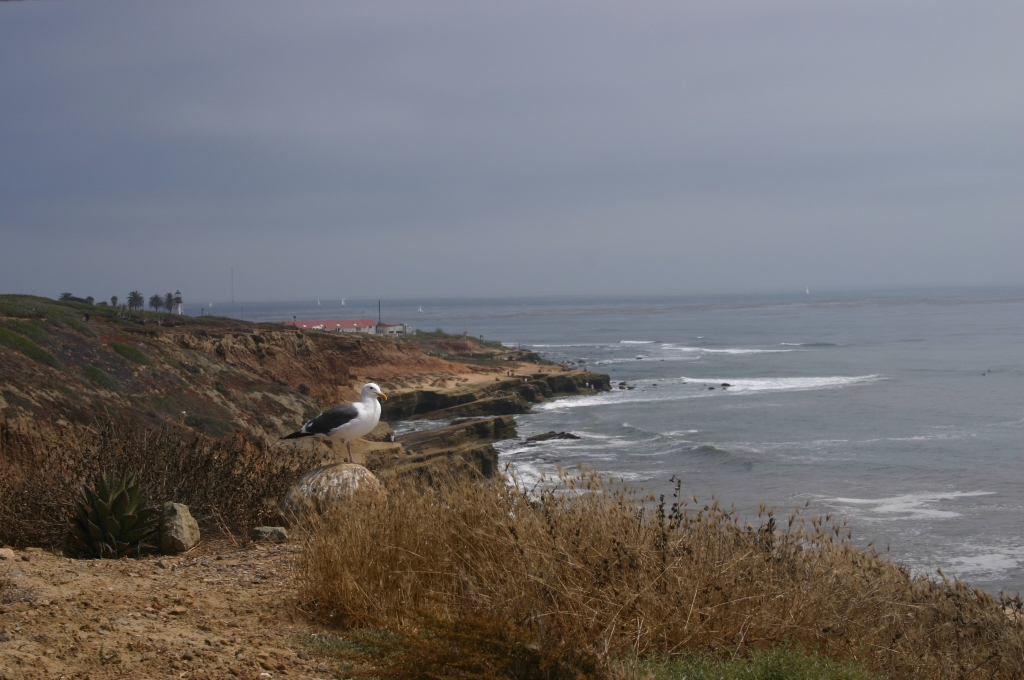 Point Loma